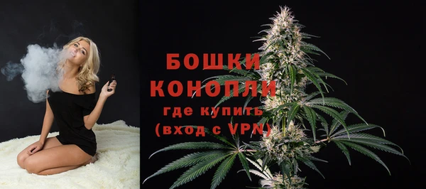 дмт Богородицк