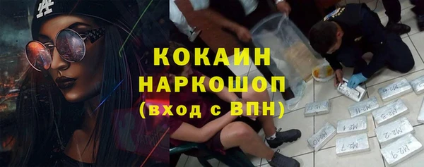 дмт Богородицк