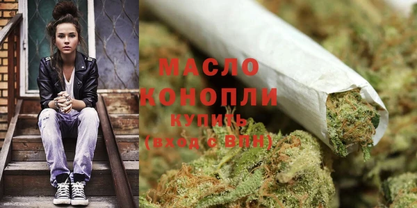 дмт Богородицк