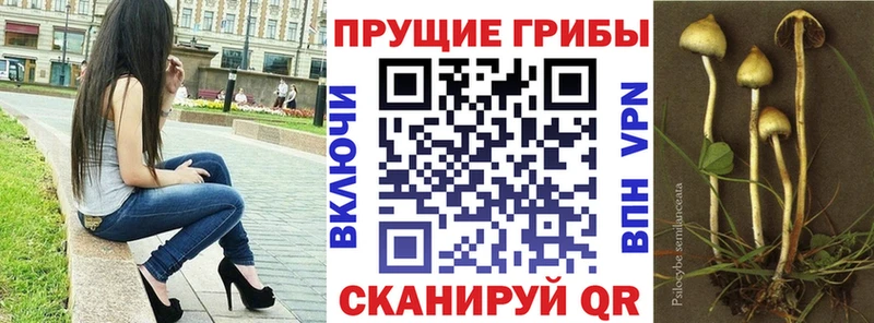 Псилоцибиновые грибы MAGIC MUSHROOMS  Мосальск 